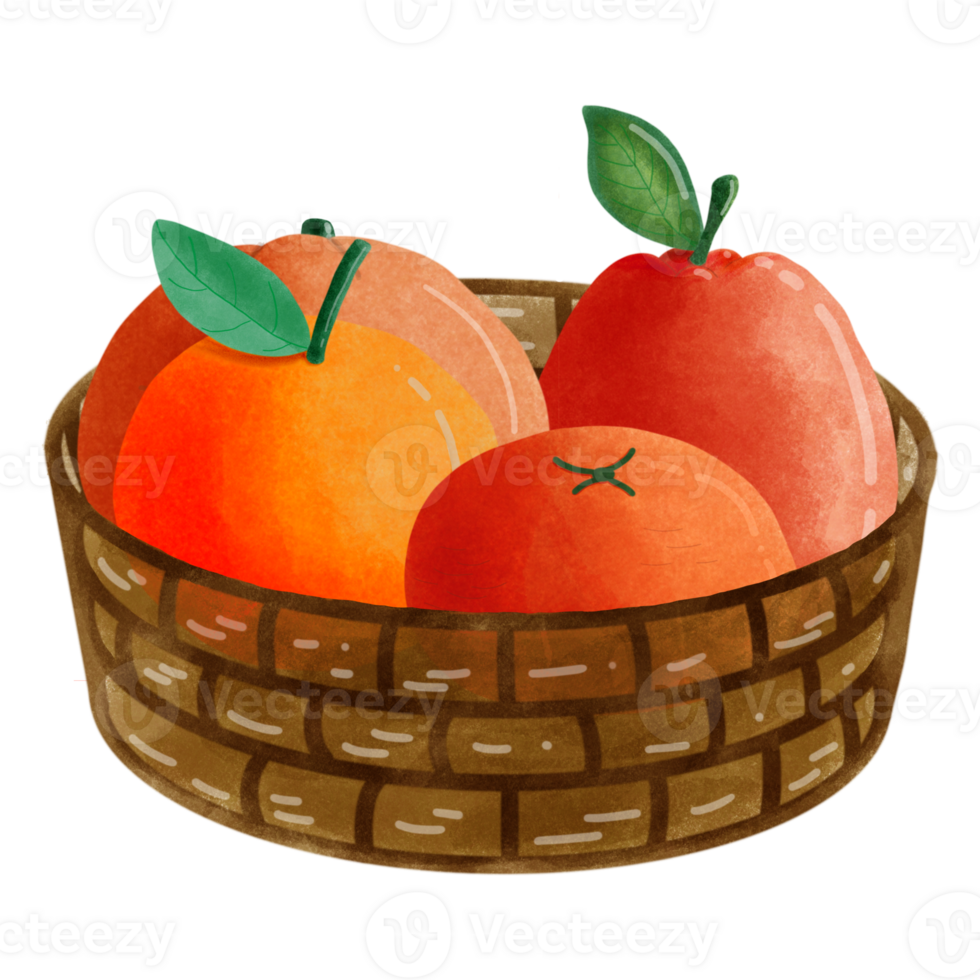 Fresh orange set png