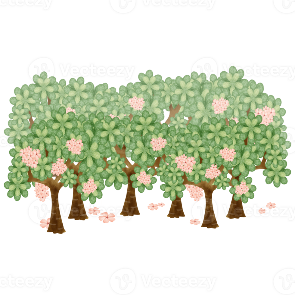 Unseen tree and flowers png