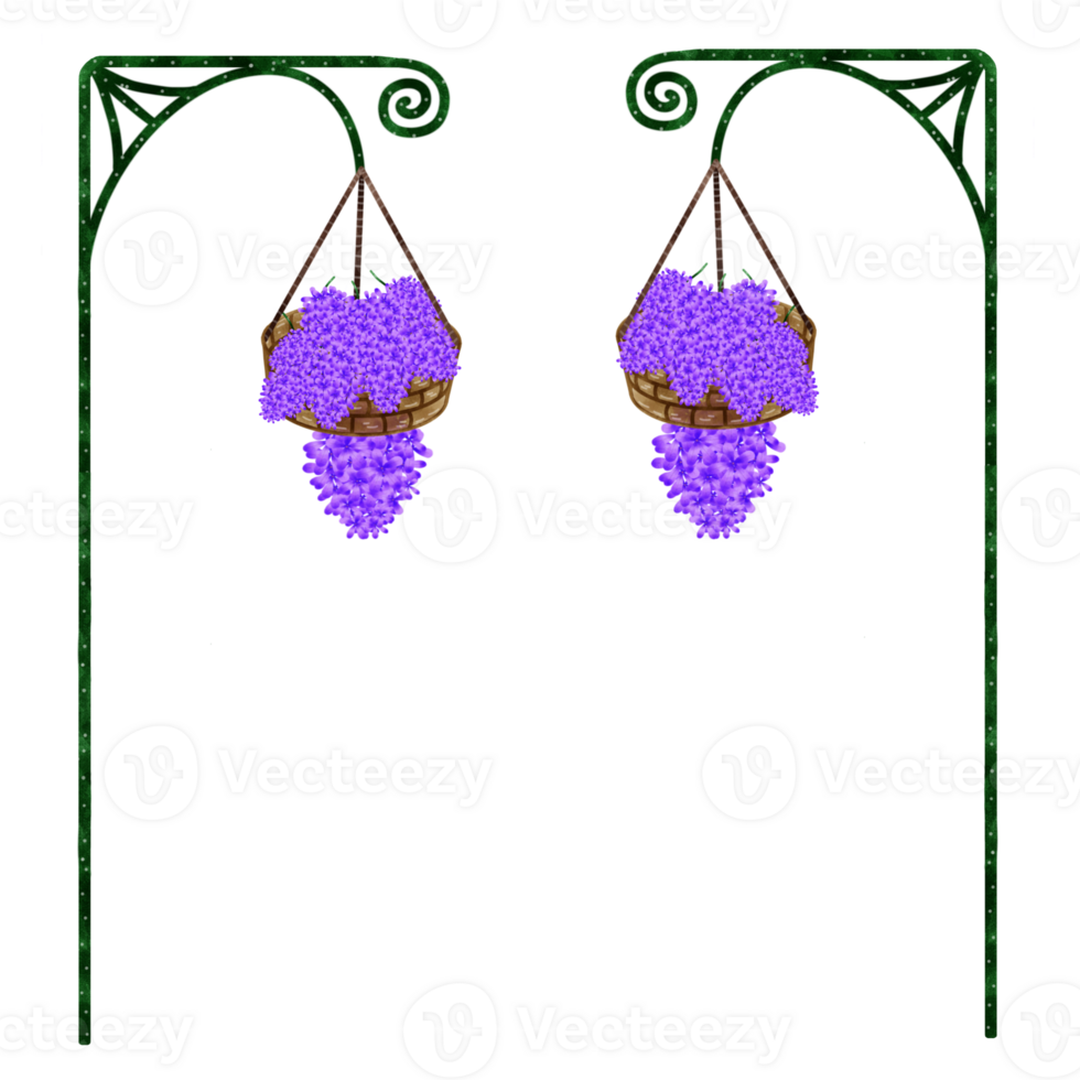Purple vine flowers png