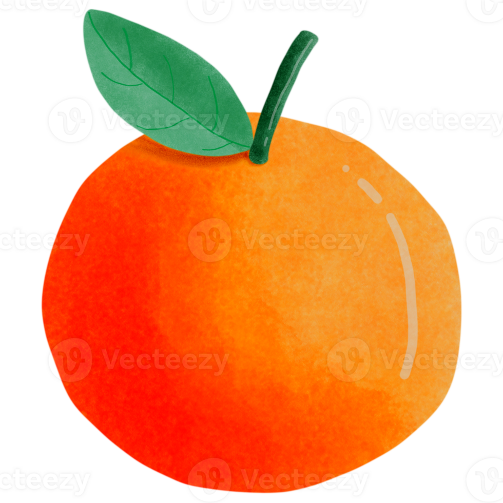 Fresh orange set png
