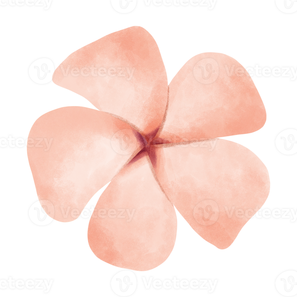 Unseen tree and flowers png