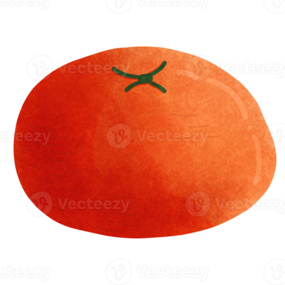 Fresh orange set png
