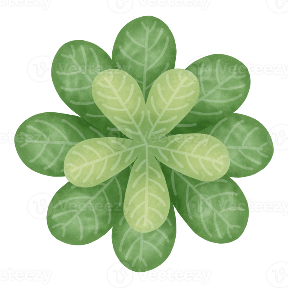 Unseen tree and flowers png