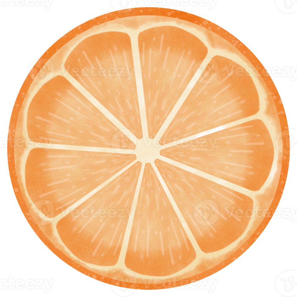 Sliced fresh orange png