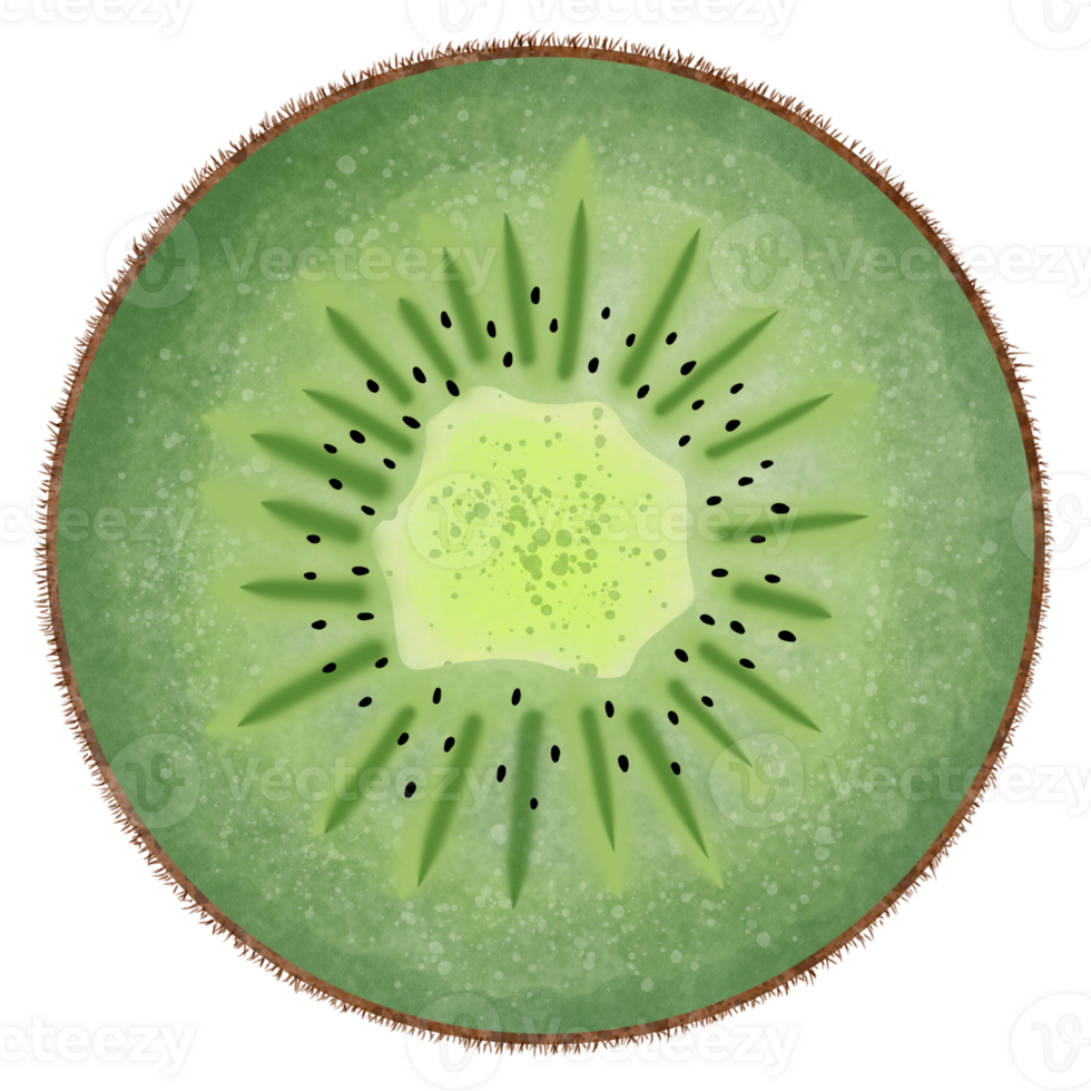 Fresh kiwi sliced png
