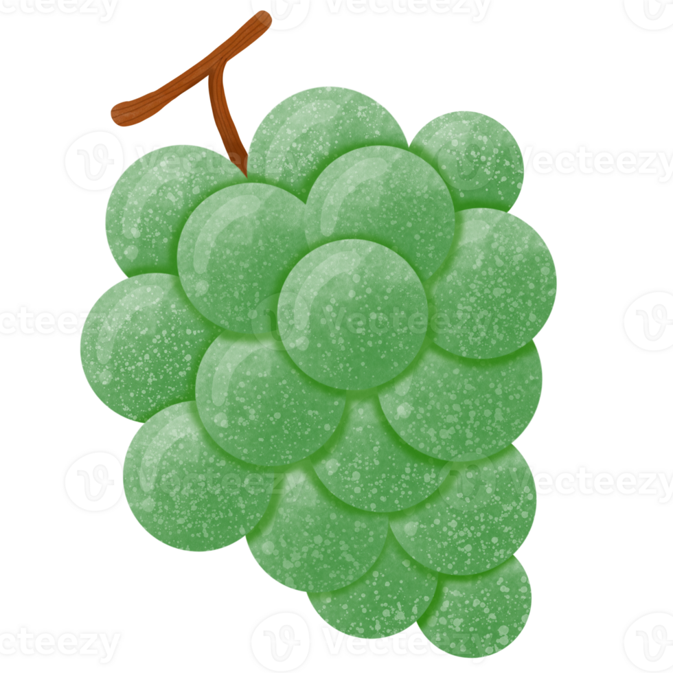 Bunch of green grapes png