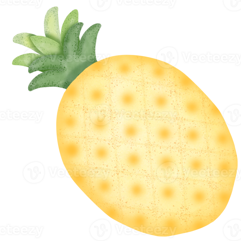 Fresh organic pineapple png