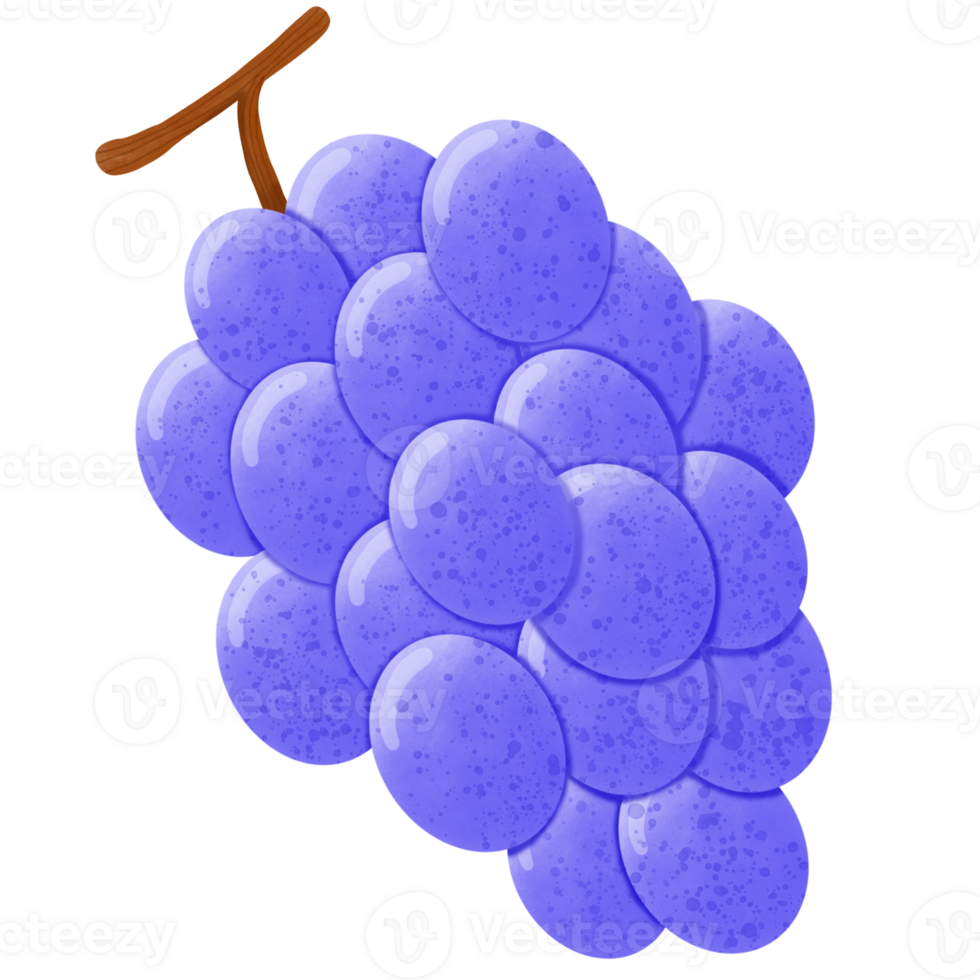 Bunch of purple grapes png