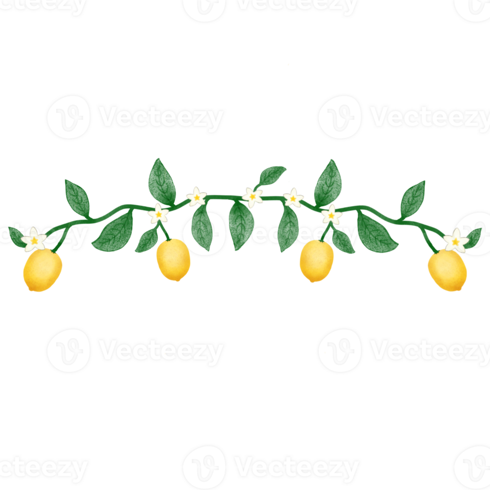 Set of lemon farm and afternoon lemon tea png