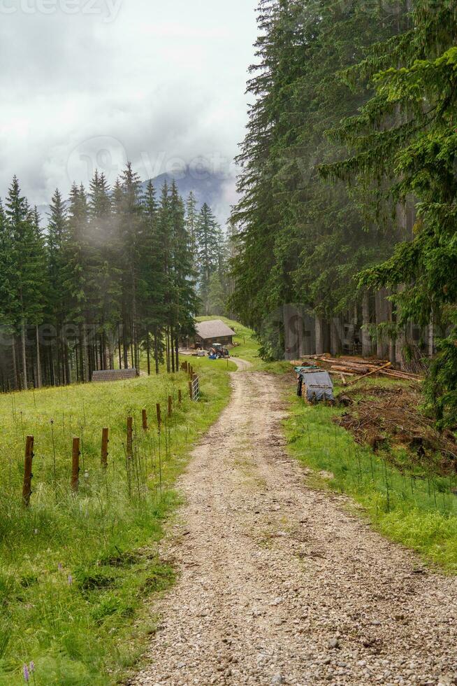 the austrian alps photo