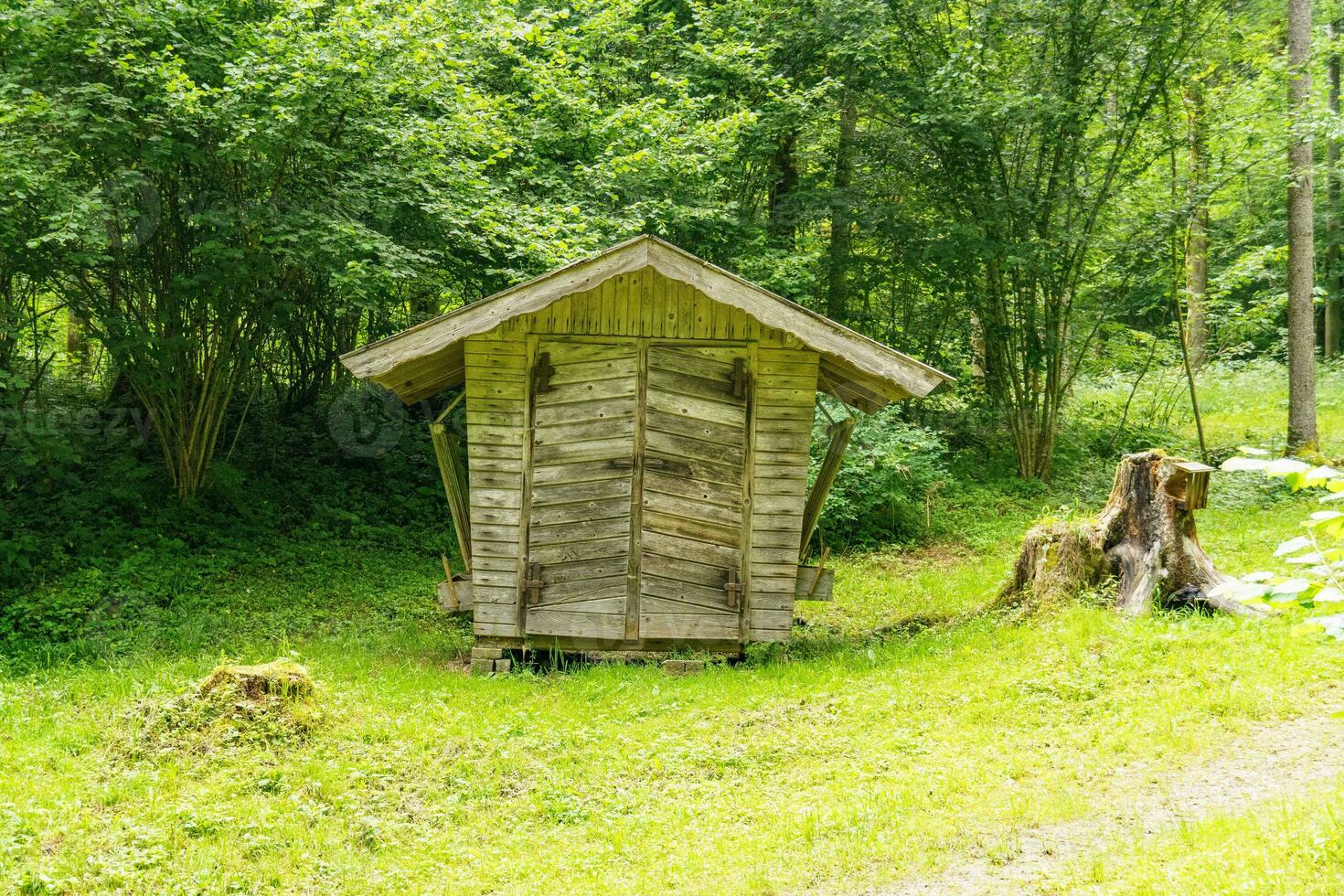 hiking in the austrian alps photo