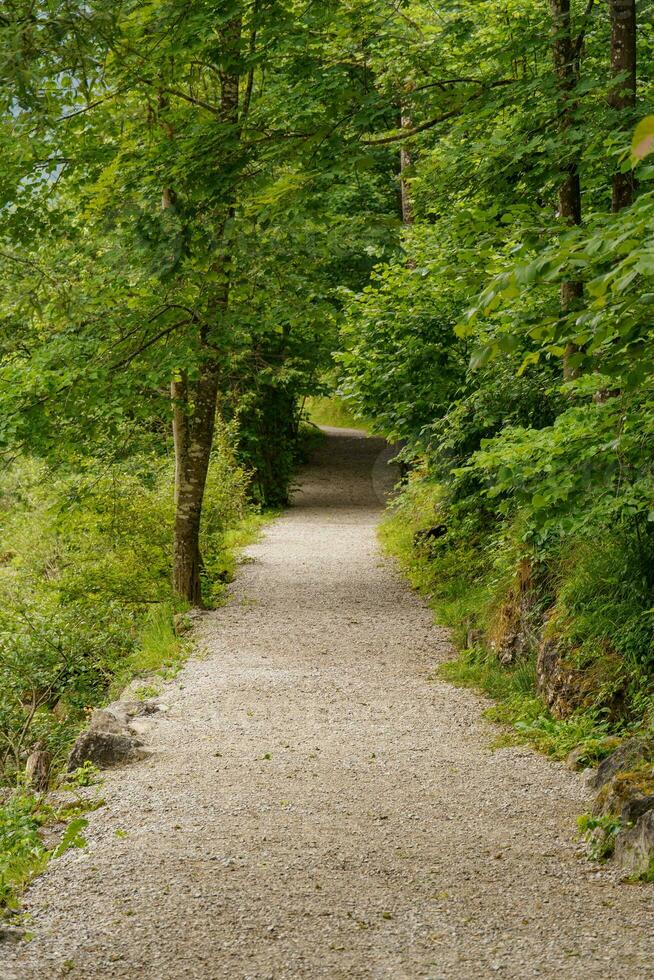 hiking in austria photo