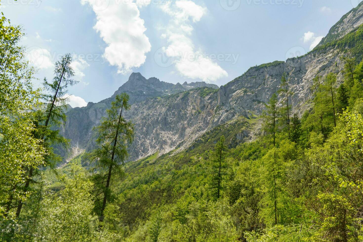 el naturaleza de Austria foto