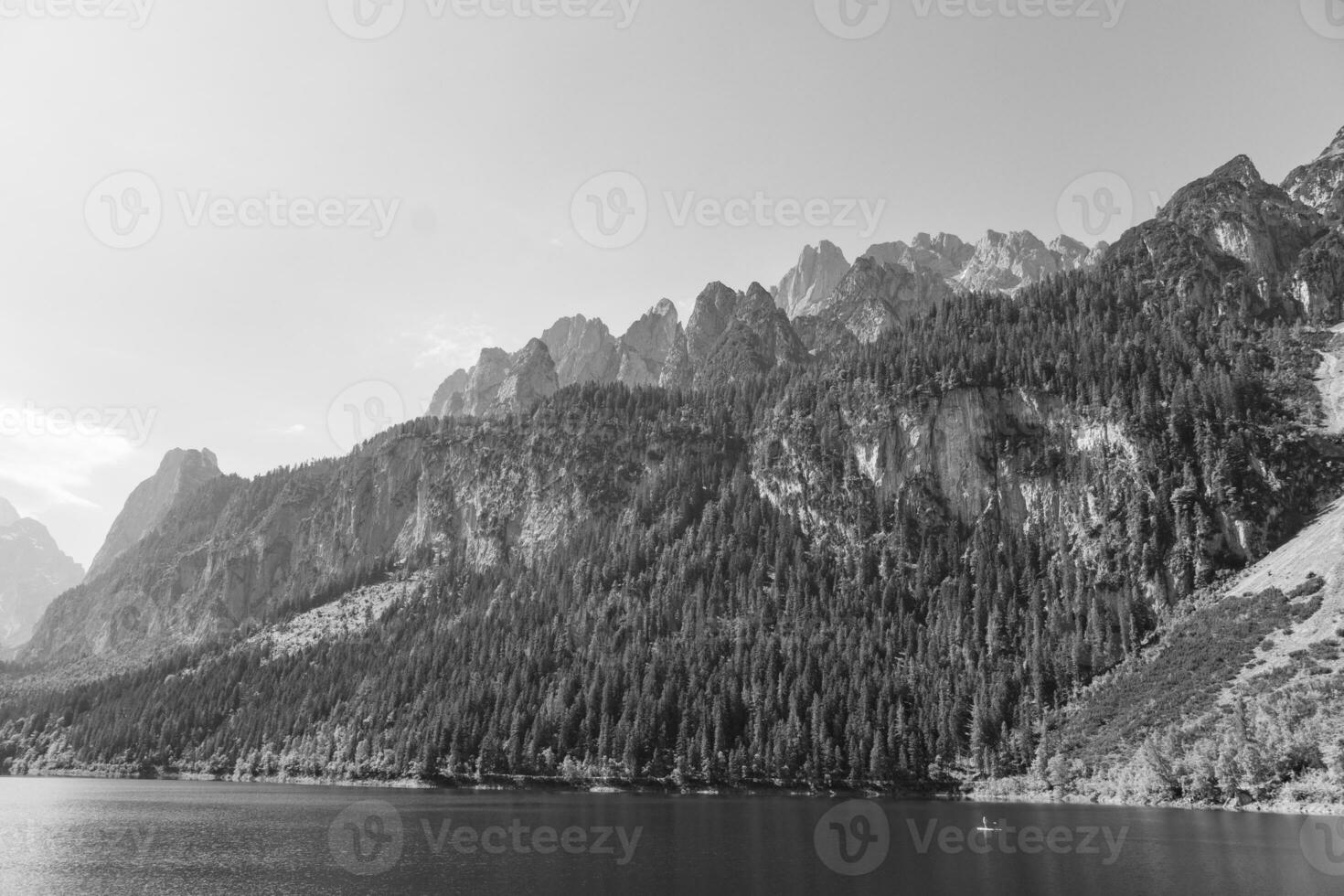 summer time in austria photo