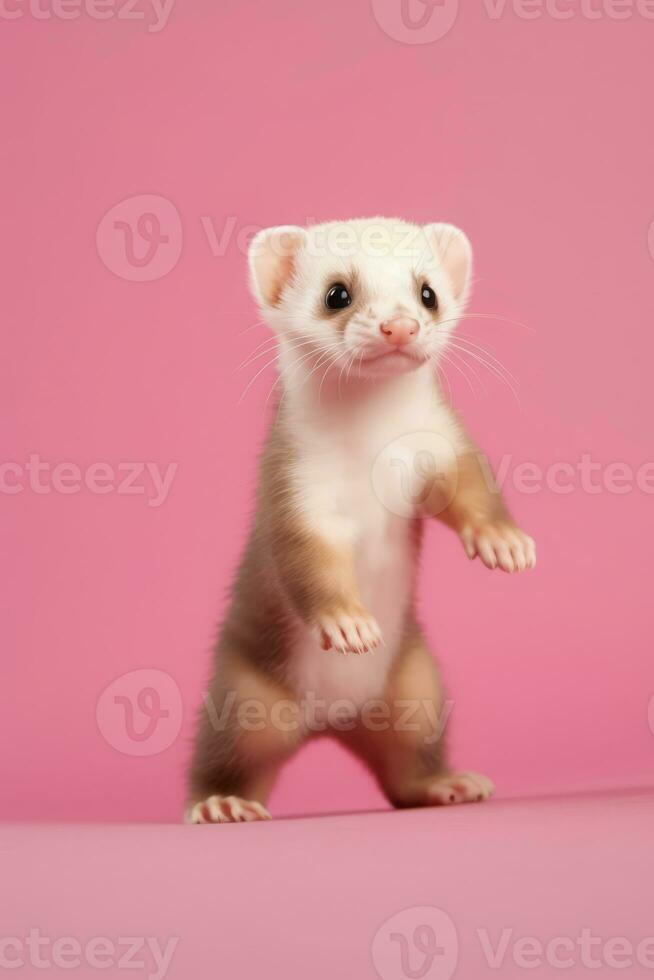 Very cute baby Ferret in nature wide life animals. AI Generated. photo