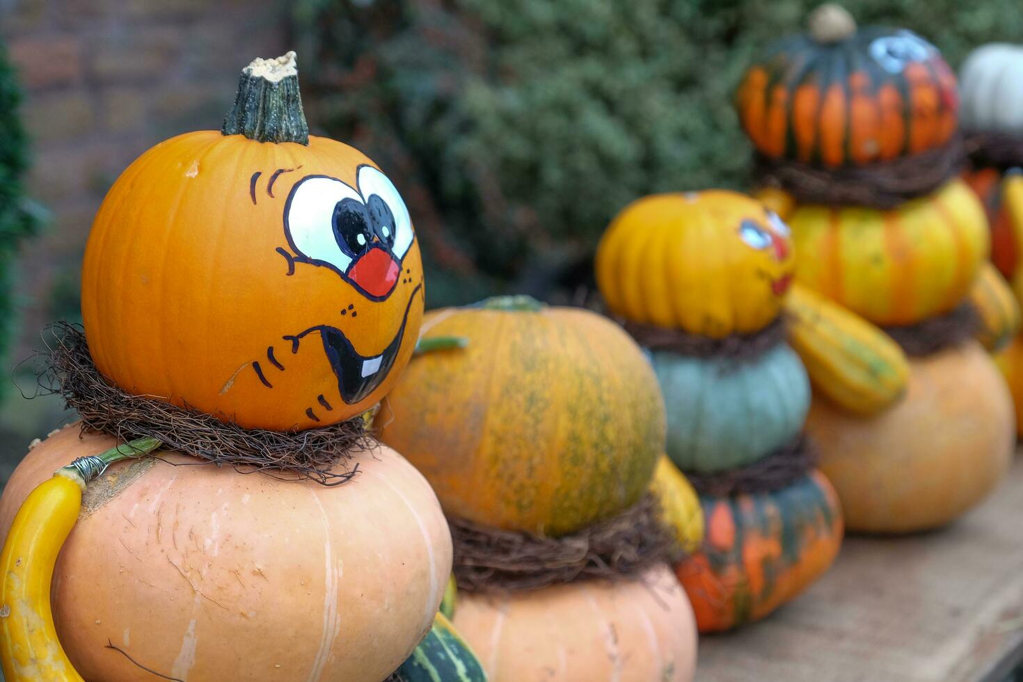 pumpkins in germany photo