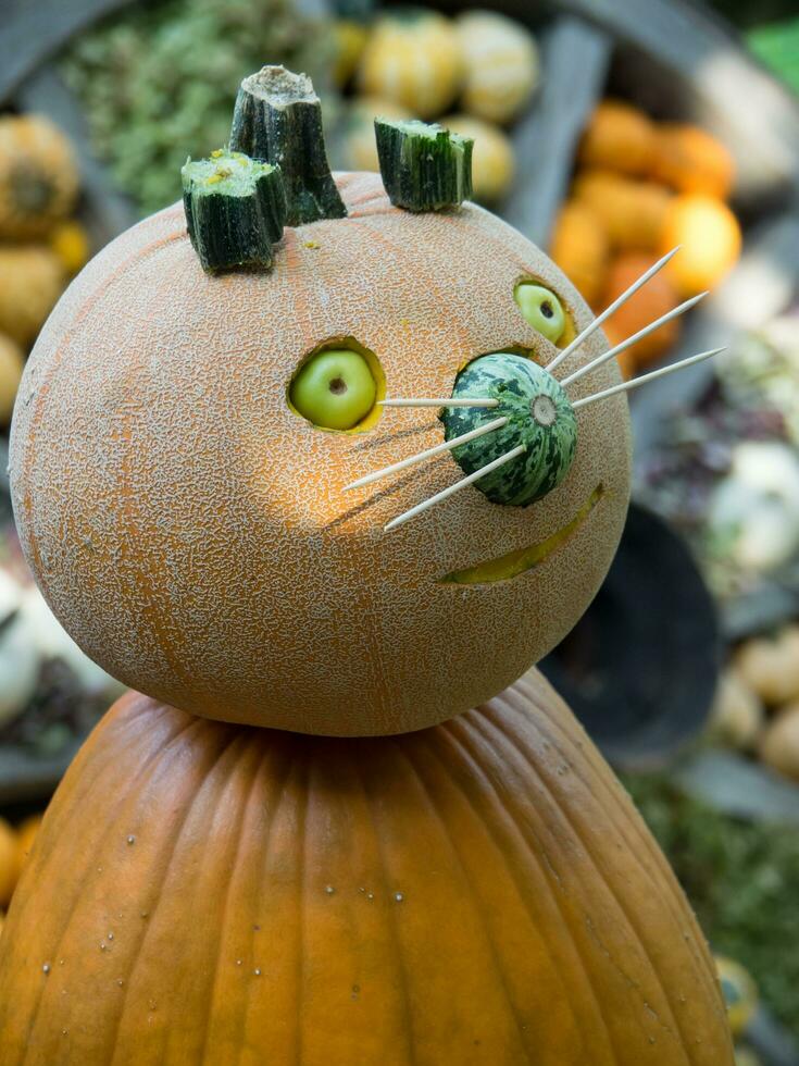 pumpkins in germany photo