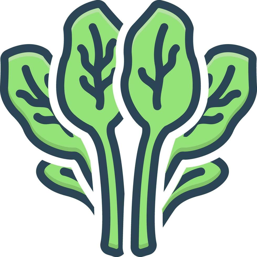 color icon for spinach vector