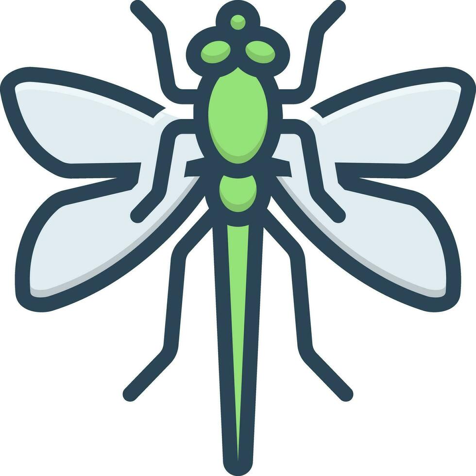 color icon for dragonfly vector