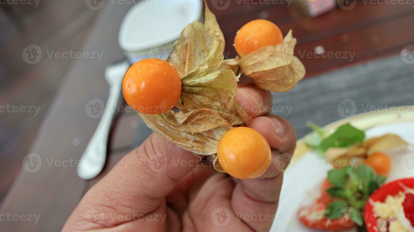 The ciplukan fruit is ripe and ready to eat photo