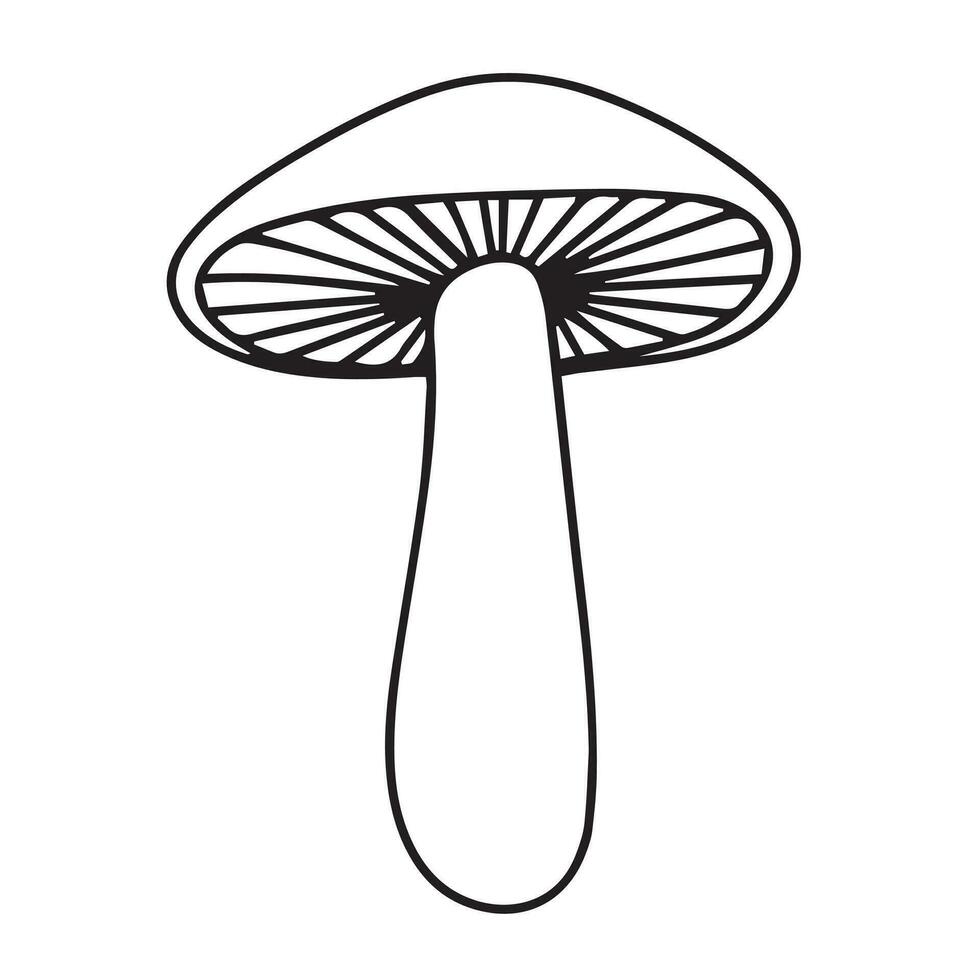 Hand drawn doodle mushroom. Icon outline mushroom isolated on white background. Vector illustration.