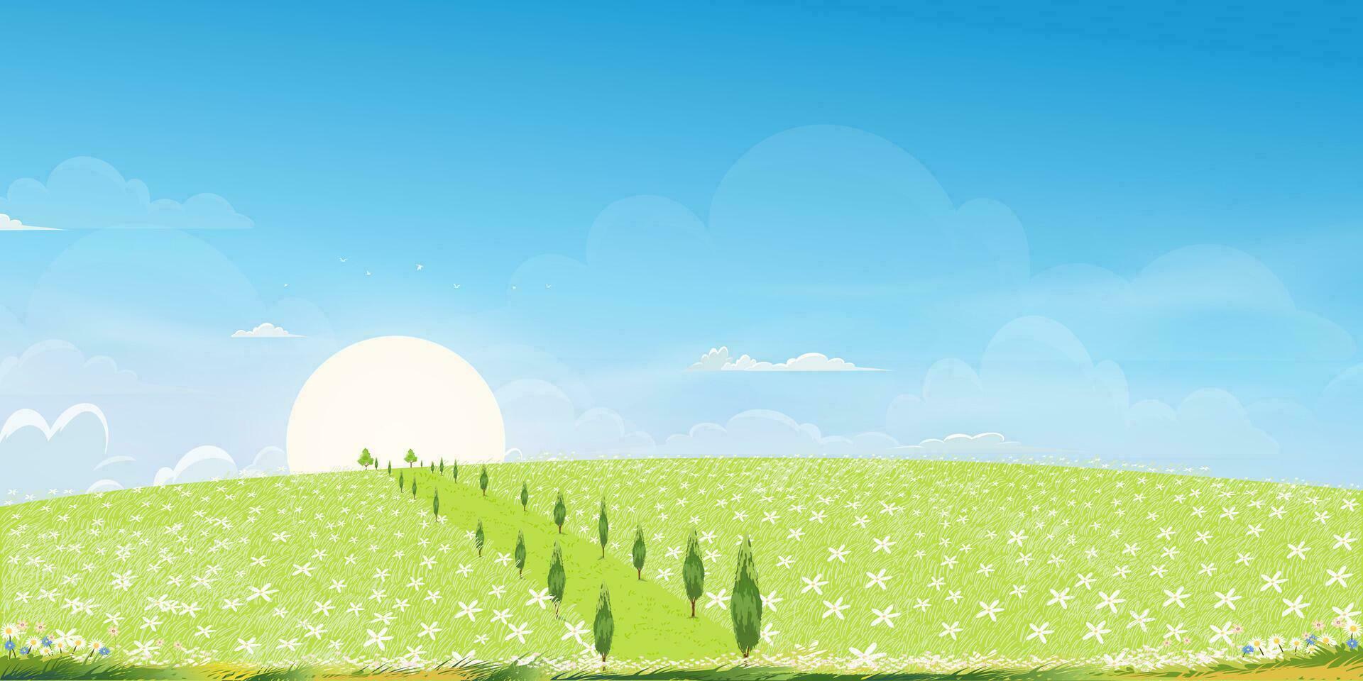 primavera antecedentes con blanco flor margarita campos paisaje en colinascon azul cielo y nubes, hermoso naturaleza verano rural con salvaje césped flores, dibujos animados vector ilustración fondo bandera