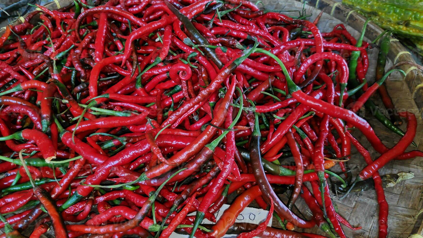 piles of red chili pepper in containers photo