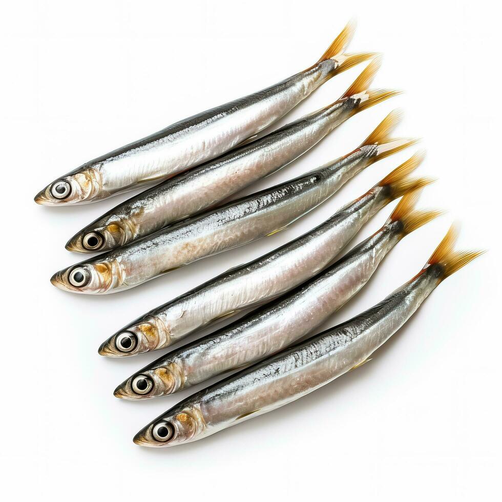 Anchovies full fish isolated on white background top view photo