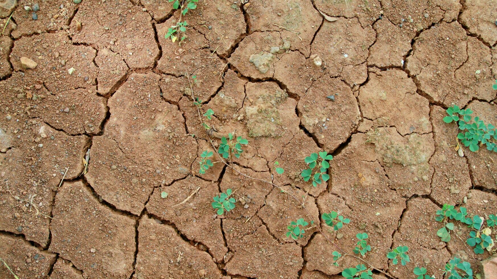 The ground has cracks in the top view for the background photo
