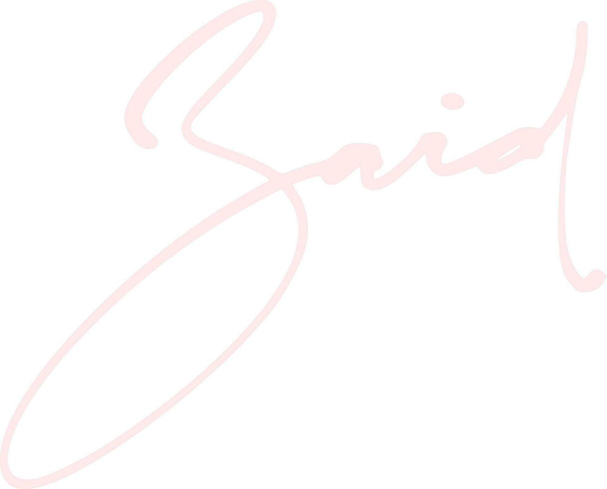 signature series Z design illustration vector