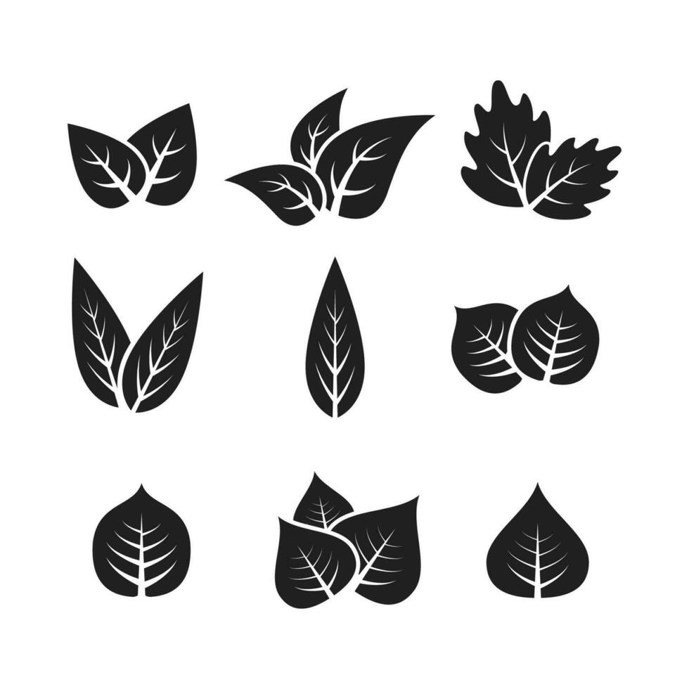 Leaf icon graphic vector design illustration