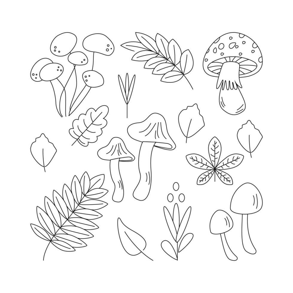 Mushrooms, leaf. Hello autumn. Autumn season element, icon. Line art. vector