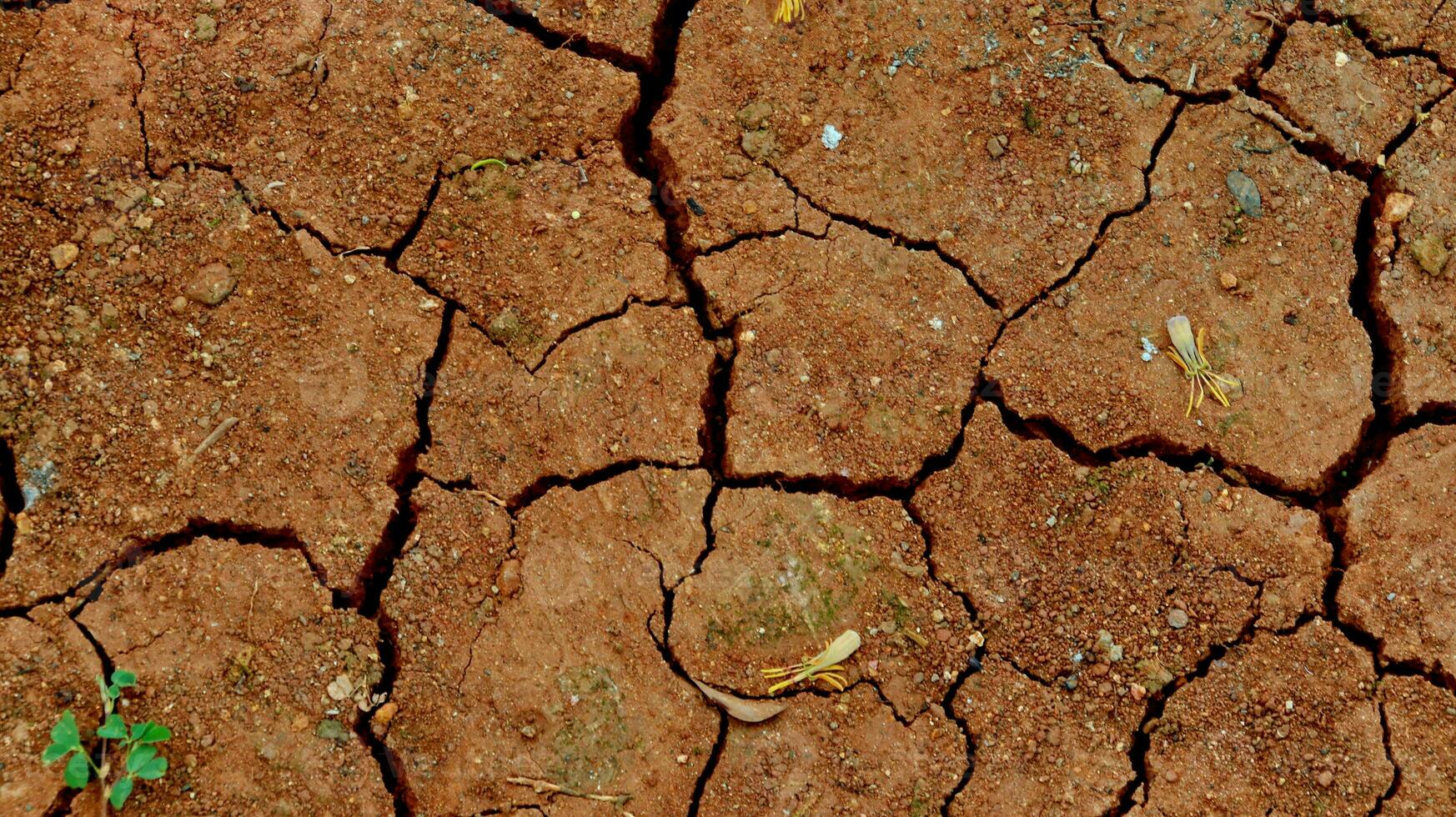 The ground has cracks in the top view for the background photo