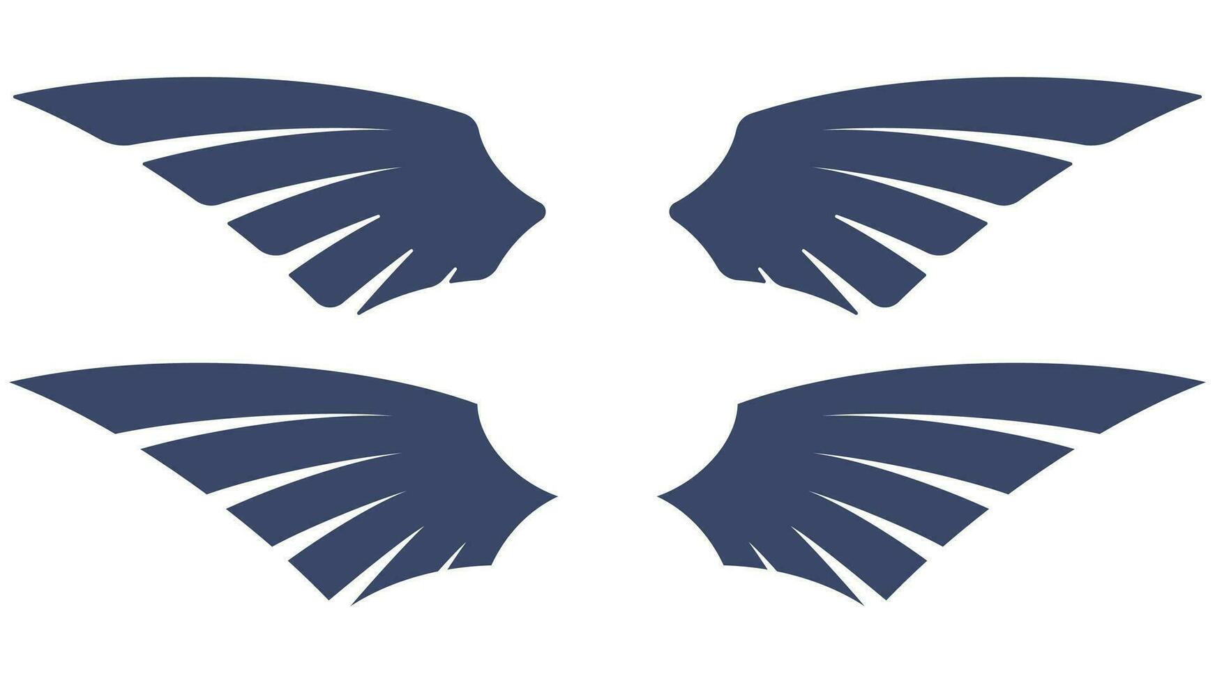 A set of bird wings isolated on a white background vector