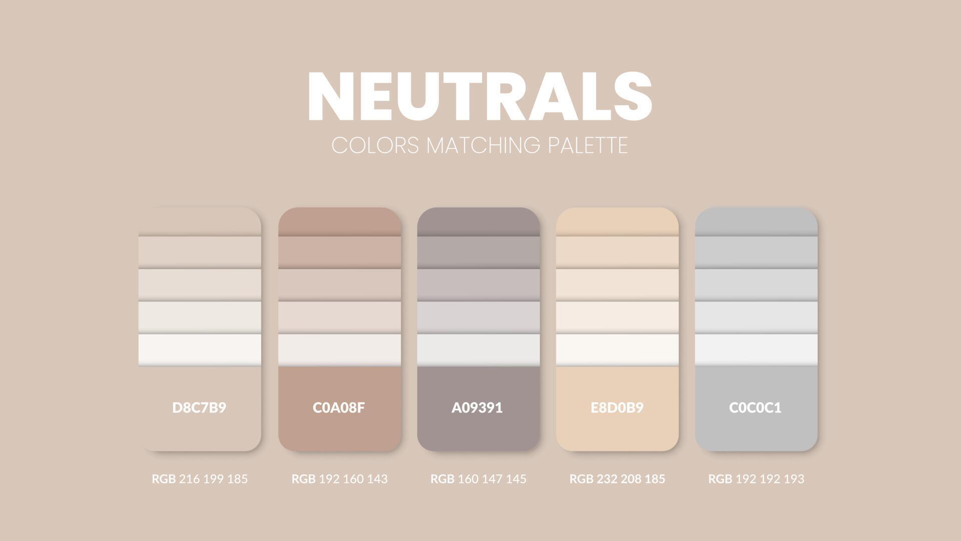 Color palette in a Neutrals colour theme collections. Color scheme or