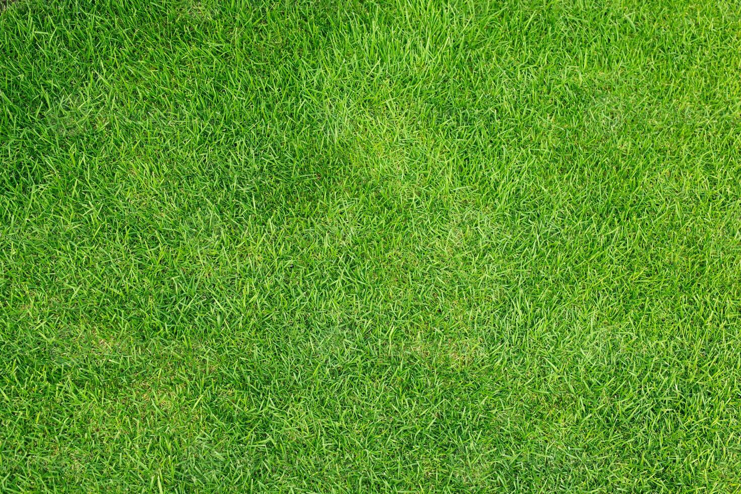 Artificial grass field meadow green. Top View Texture. photo