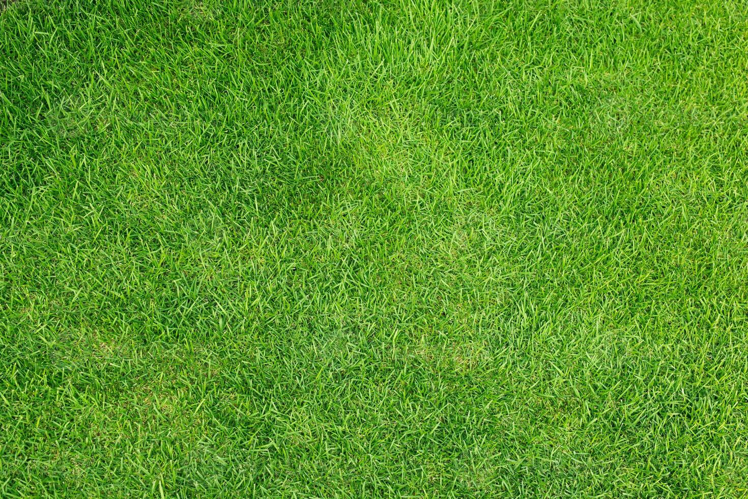 Artificial grass field meadow green. Top View Texture. photo