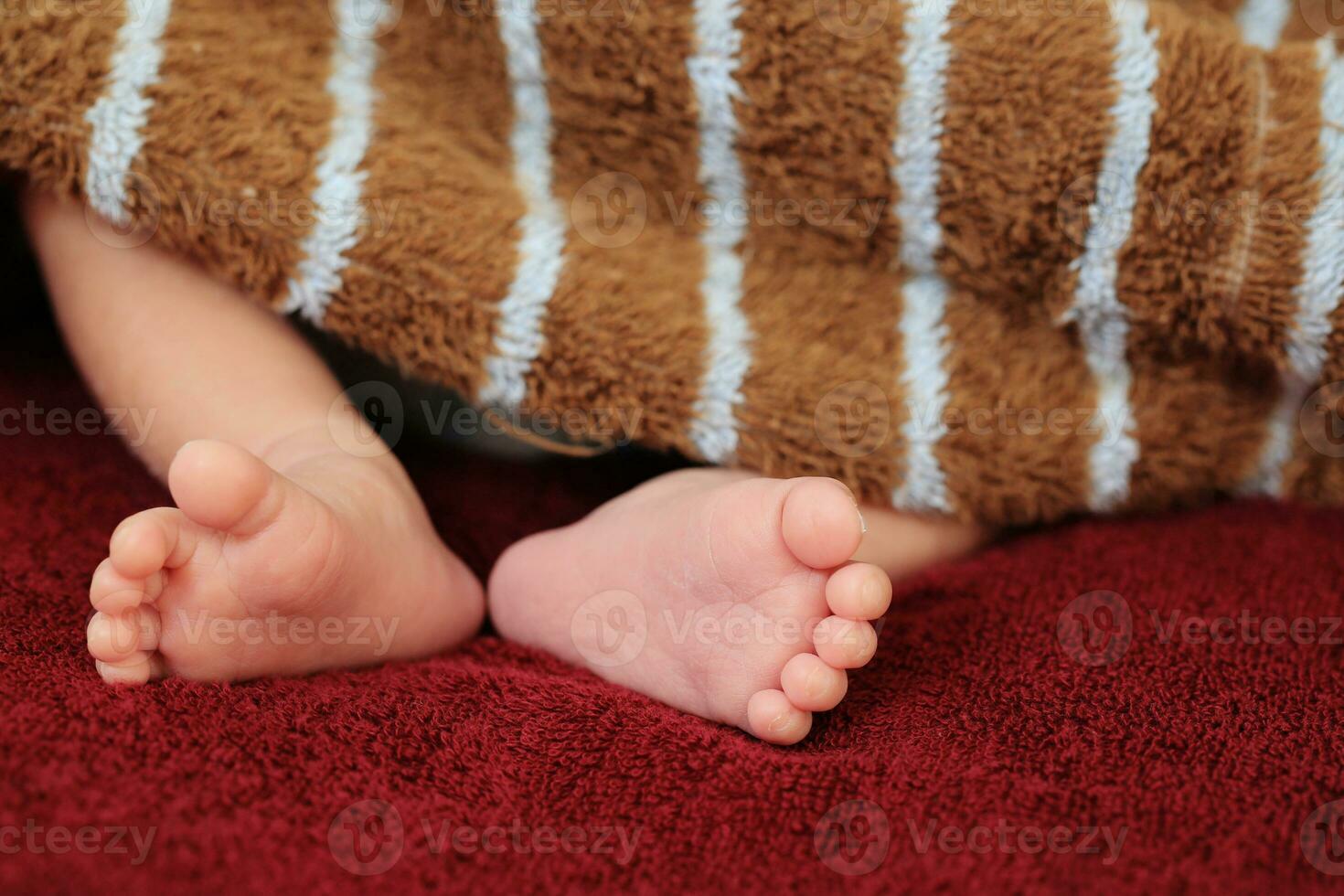 New born little tiny baby feet. photo