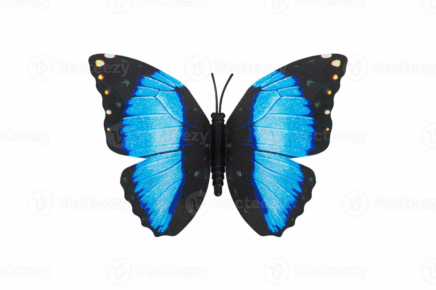 Butterfly blue color isolated white background. photo