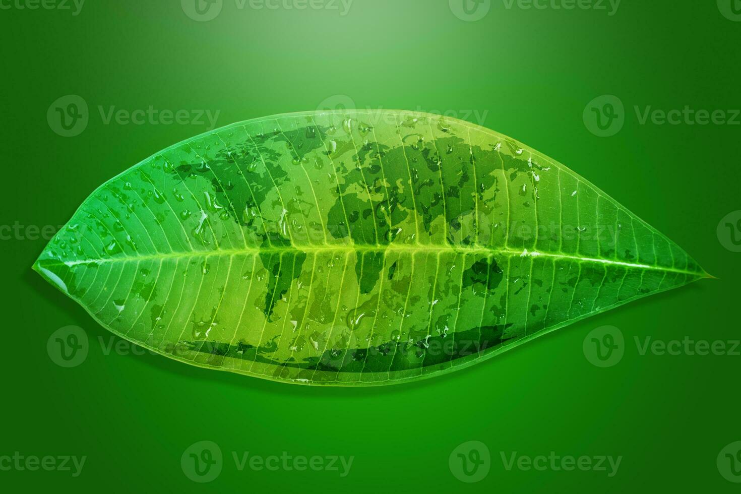 Green leaf environment concept save the earth. photo