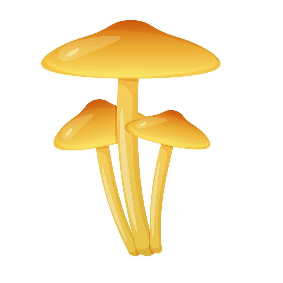 False honey mushroom isolated on white background. Wilde poisonous fungus. vector