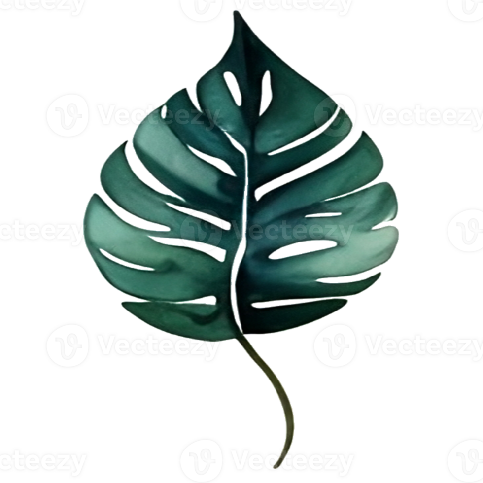 watercolor leaf painting png