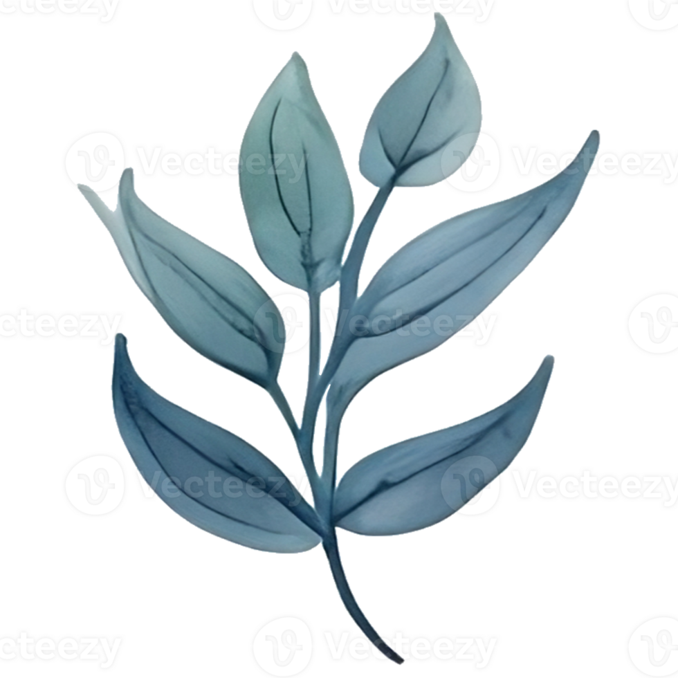 watercolor leaf painting png