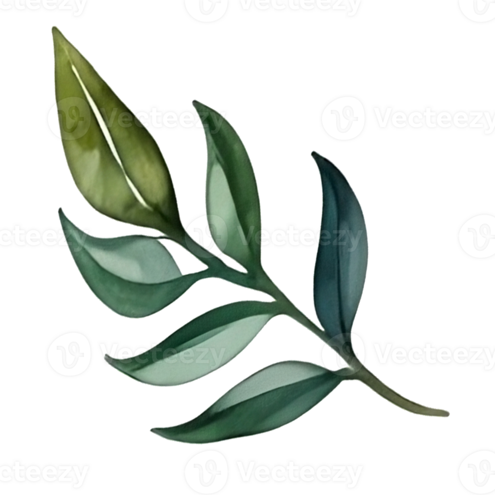 watercolor leaf painting png