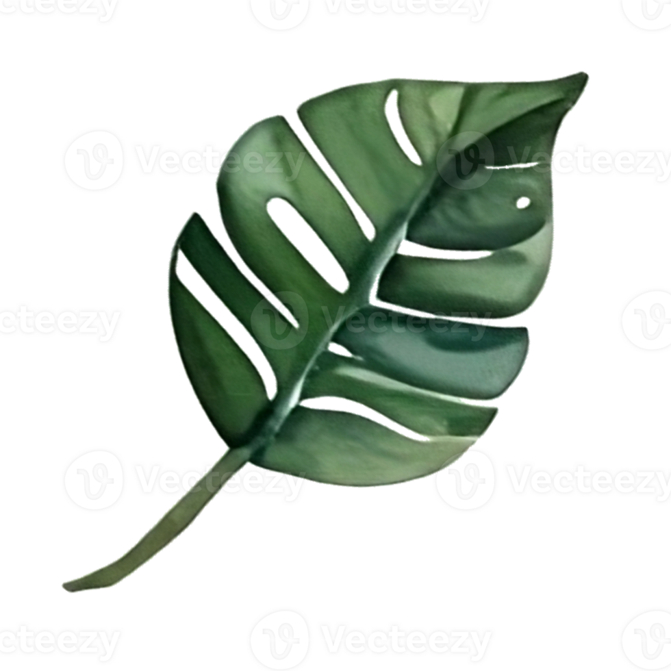 watercolor leaf painting png