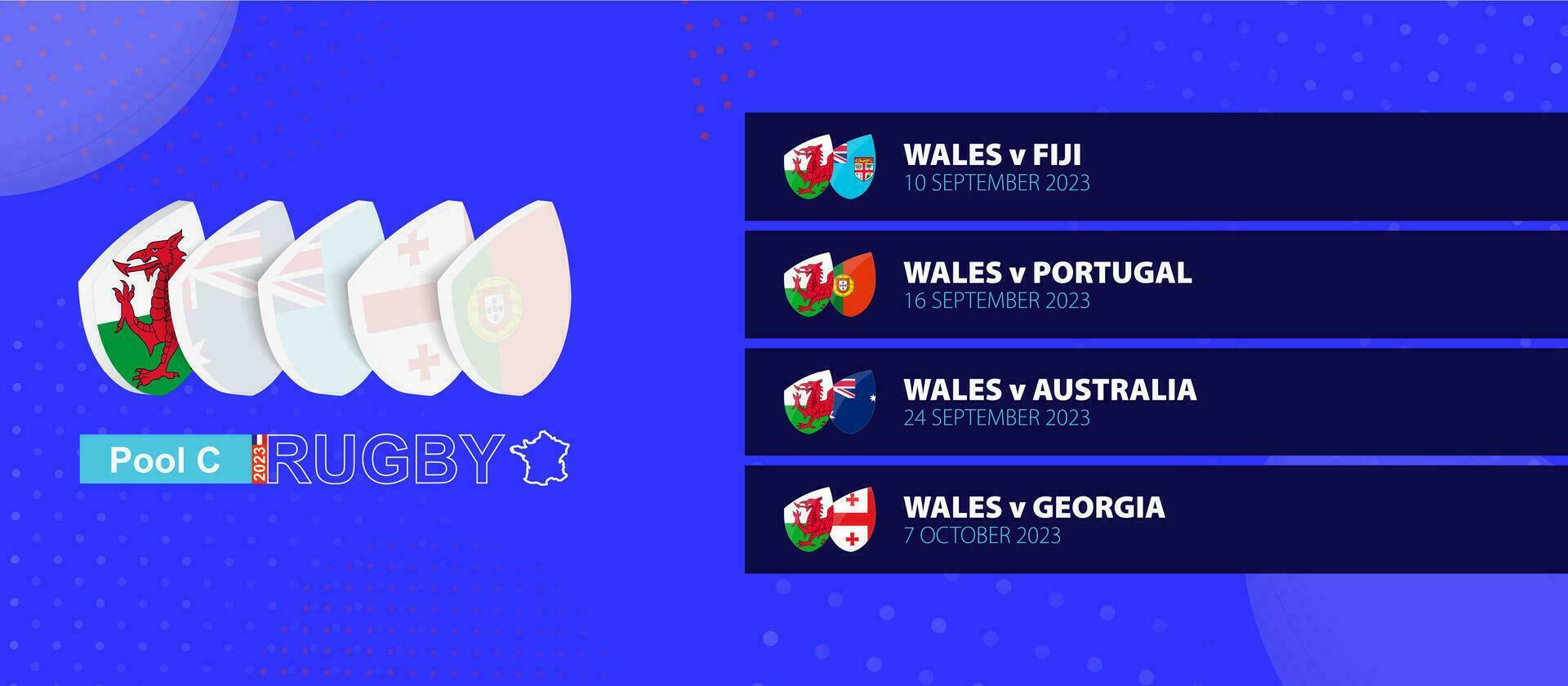 Gales rugby nacional equipo calendario partidos en grupo etapa de internacional rugby competencia. vector