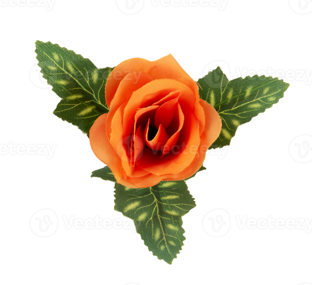 orange rose bouquet with leaf isolated png