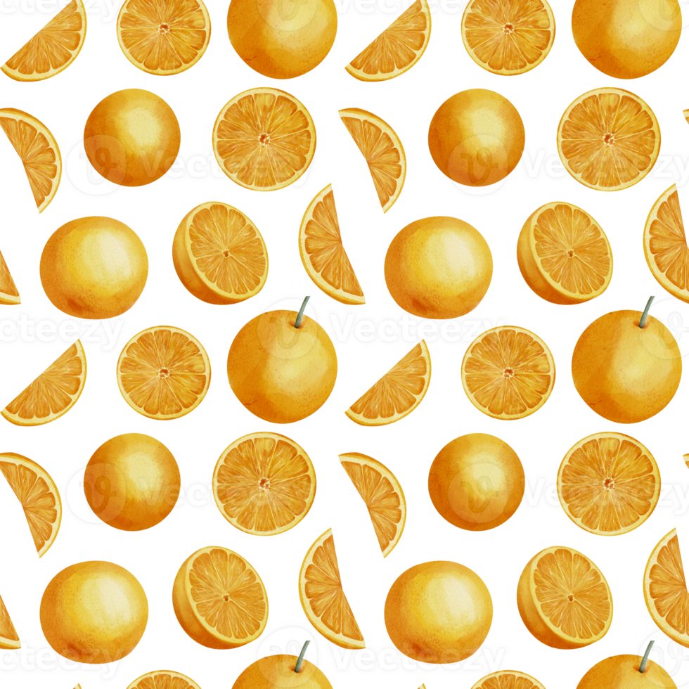 Orange Fruit Seamless Pattern. Hand drawn print with Slices of citrus food on white isolated background. Illustration of ornament with tangerine Circles for wrapping paper. Mandarin for juice label. png