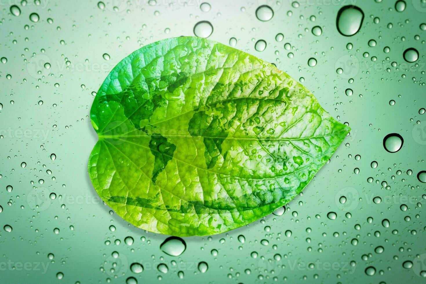 Green leaf environment concept save the earth. photo