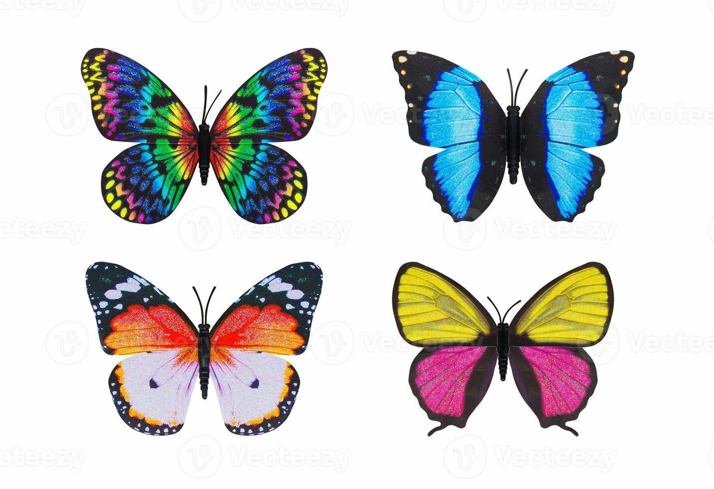 Different butterfly colorful isolated white background. photo
